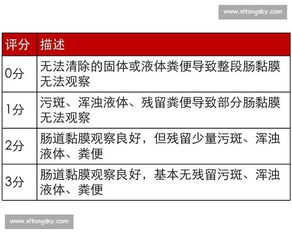 电竞赛事前的全面准备指南 如何提升选手状态和团队协作
